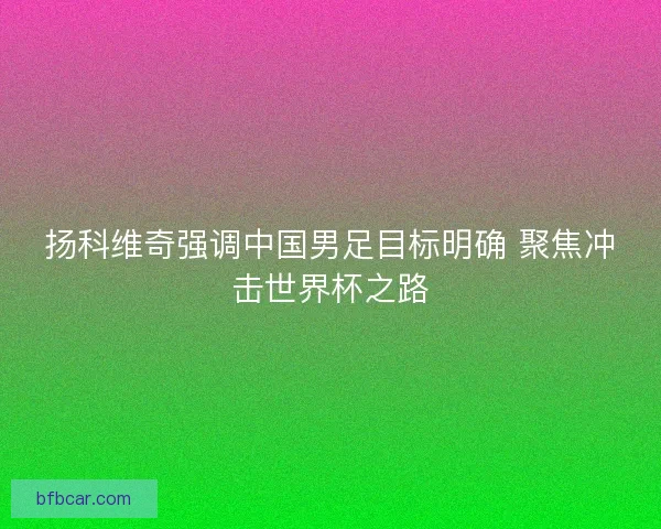 扬科维奇强调中国男足目标明确 聚焦冲击世界杯之路